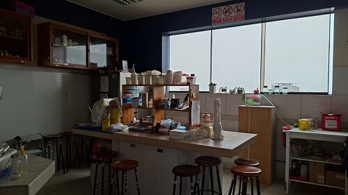 Investigación en Bioquímica y Biología Molecular