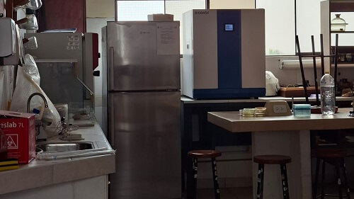 Investigación en Microbiología