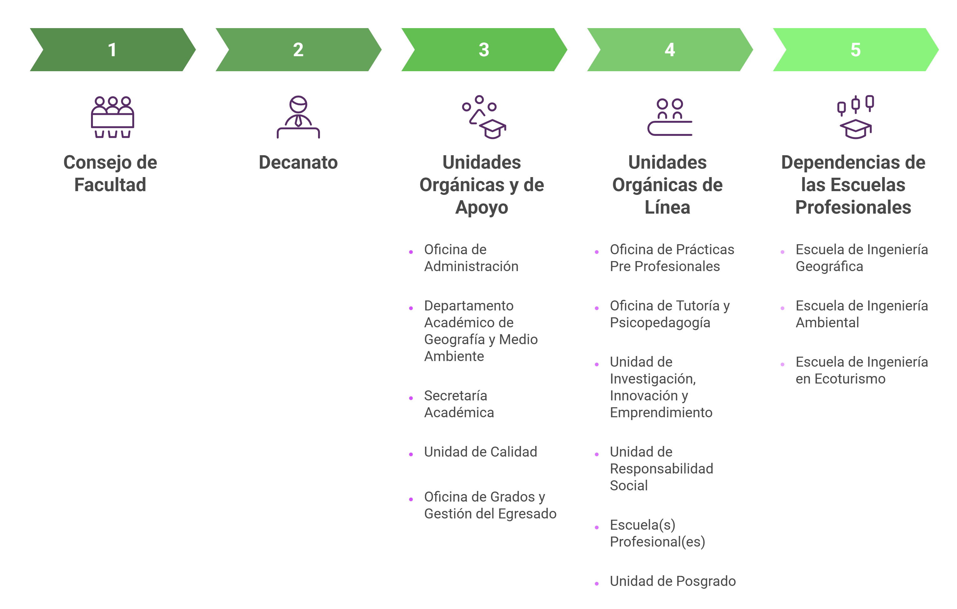 organigrama de figae unfv