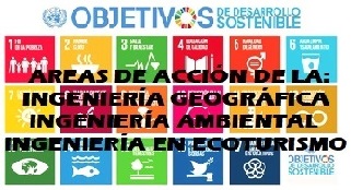 AREAS DE ACCION DE LA FIGAE