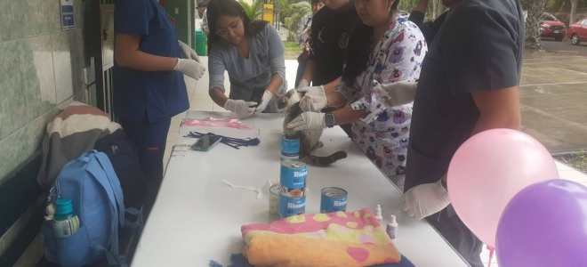 - Estudiantes de Tecnología Médica realizan desparasitación de gatos en el local de El Agustino